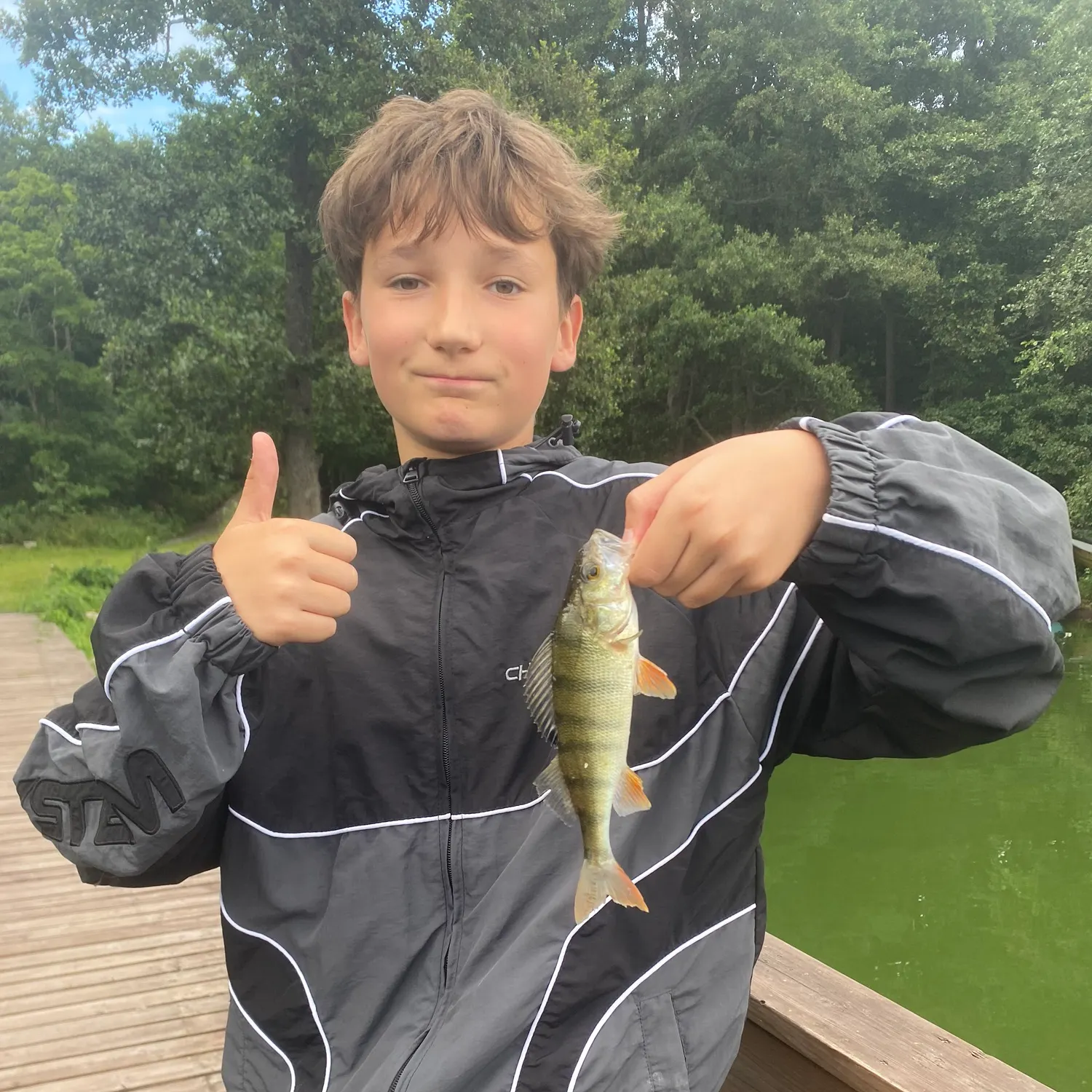 European perch caught on Fishbrain