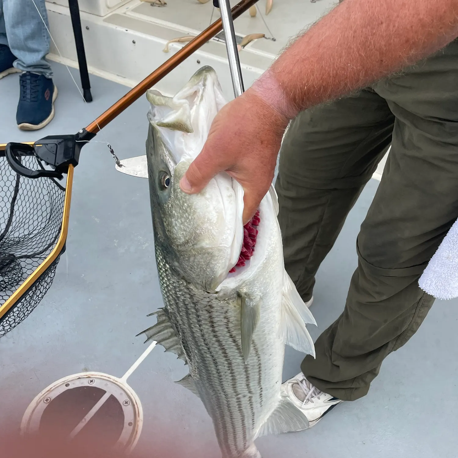 catch