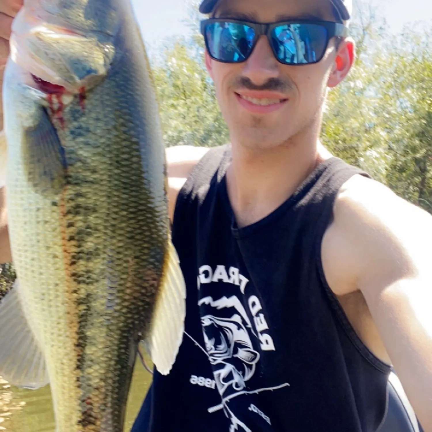 Largemouth bass caught on Fishbrain