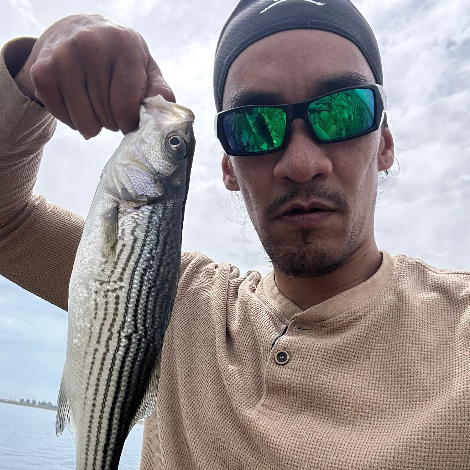 The most recent Striped bass catches on Fishbrain