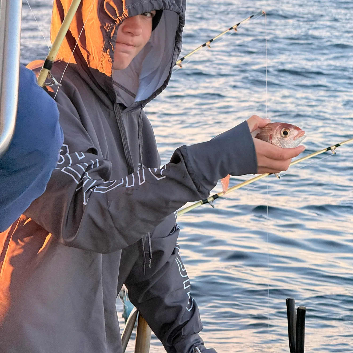 The most recent Carpenter seabream catches on Fishbrain
