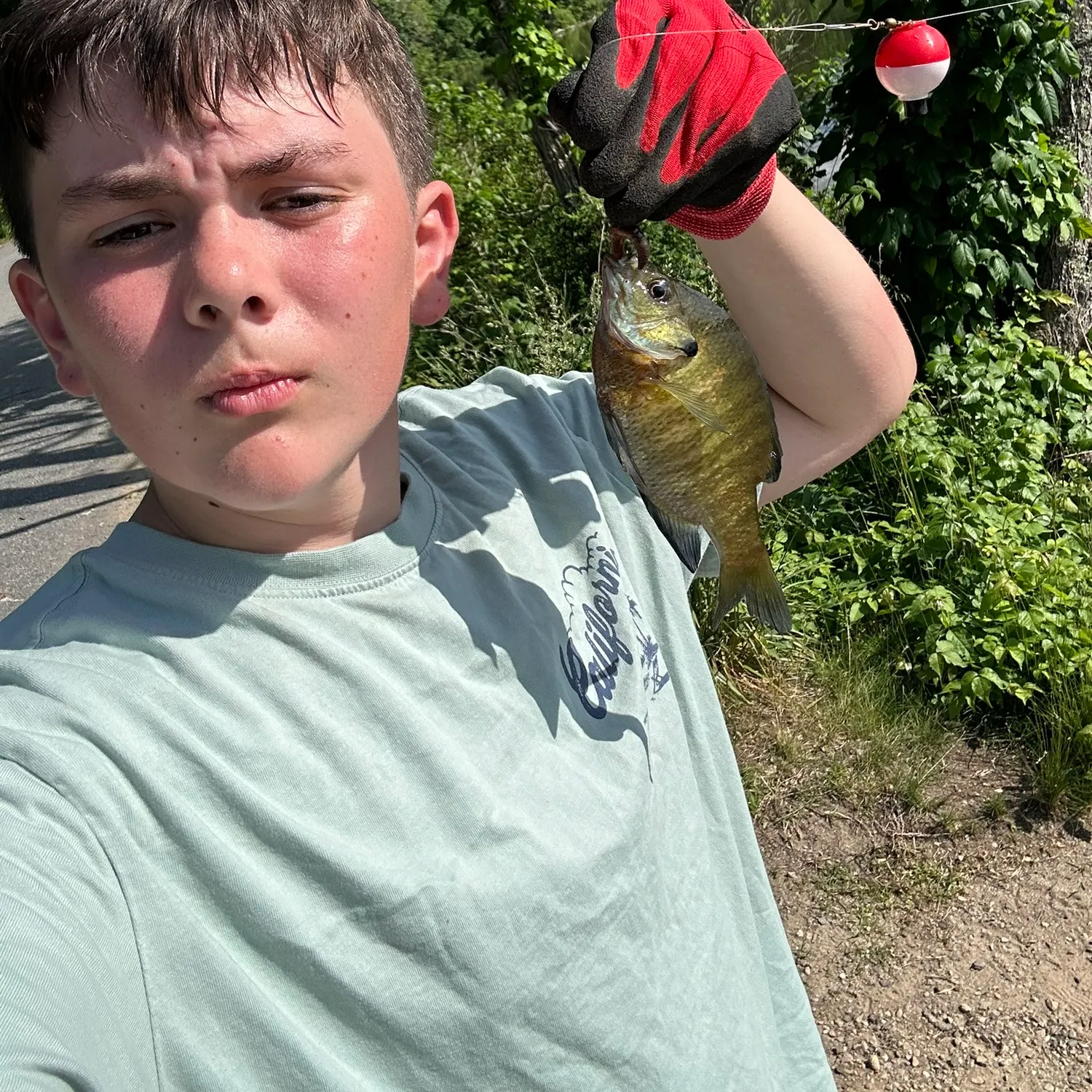 catch