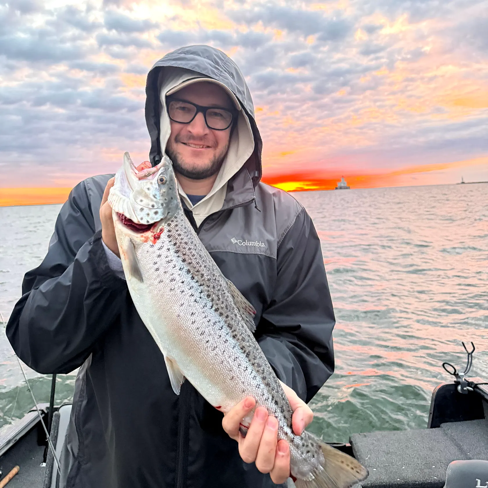Sea trout caught on Fishbrain