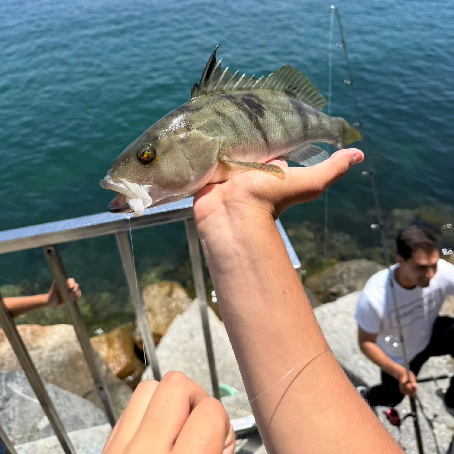 catch