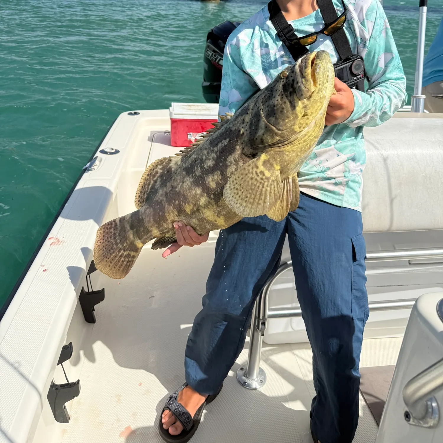 The most recent Atlantic goliath grouper catches on Fishbrain