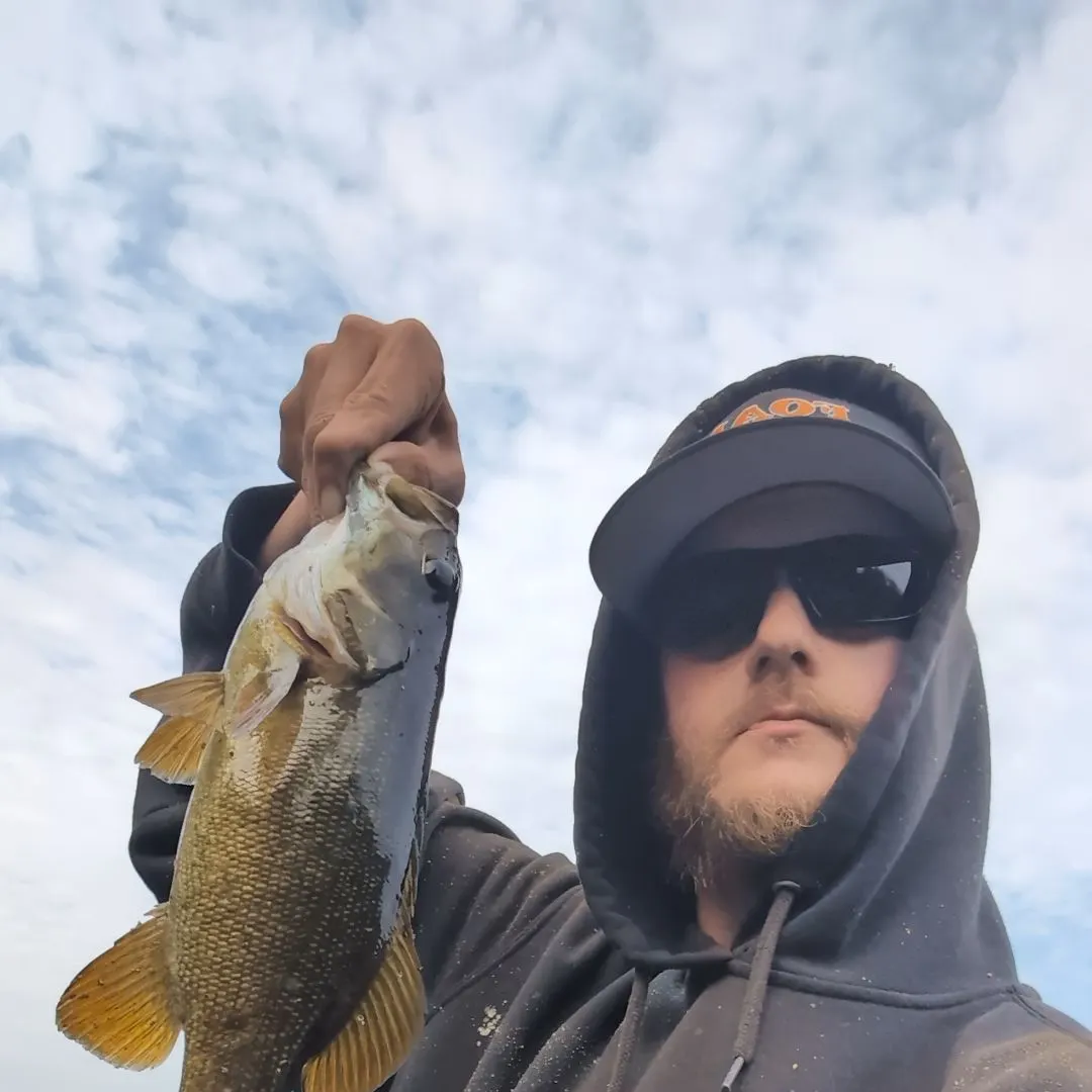 Smallmouth bass caught on Fishbrain