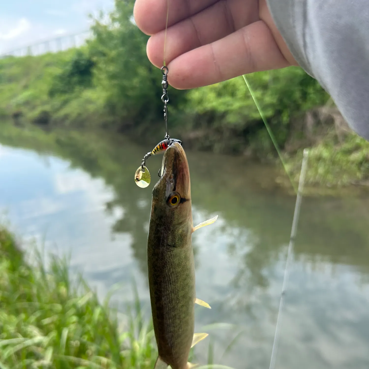 most liked catch image