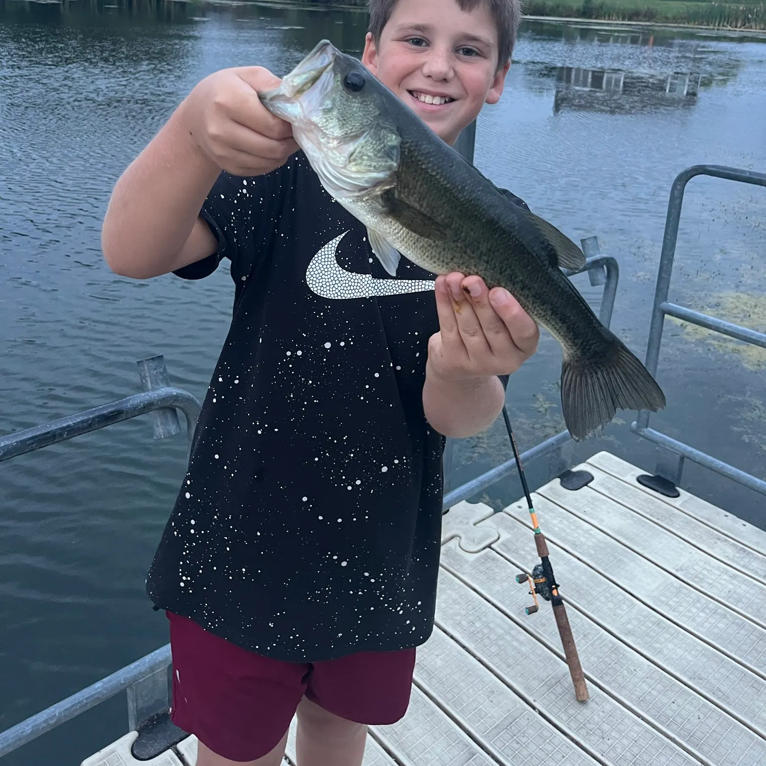 Largemouth bass caught on Fishbrain