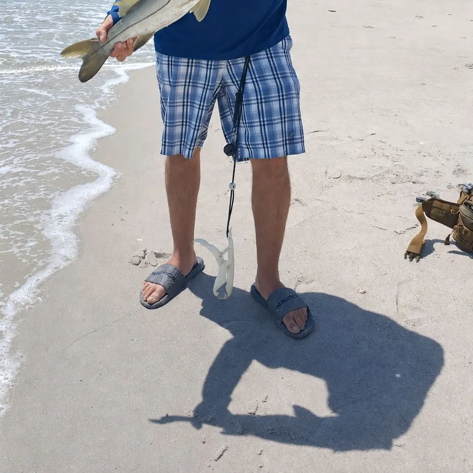 Common snook caught on Fishbrain