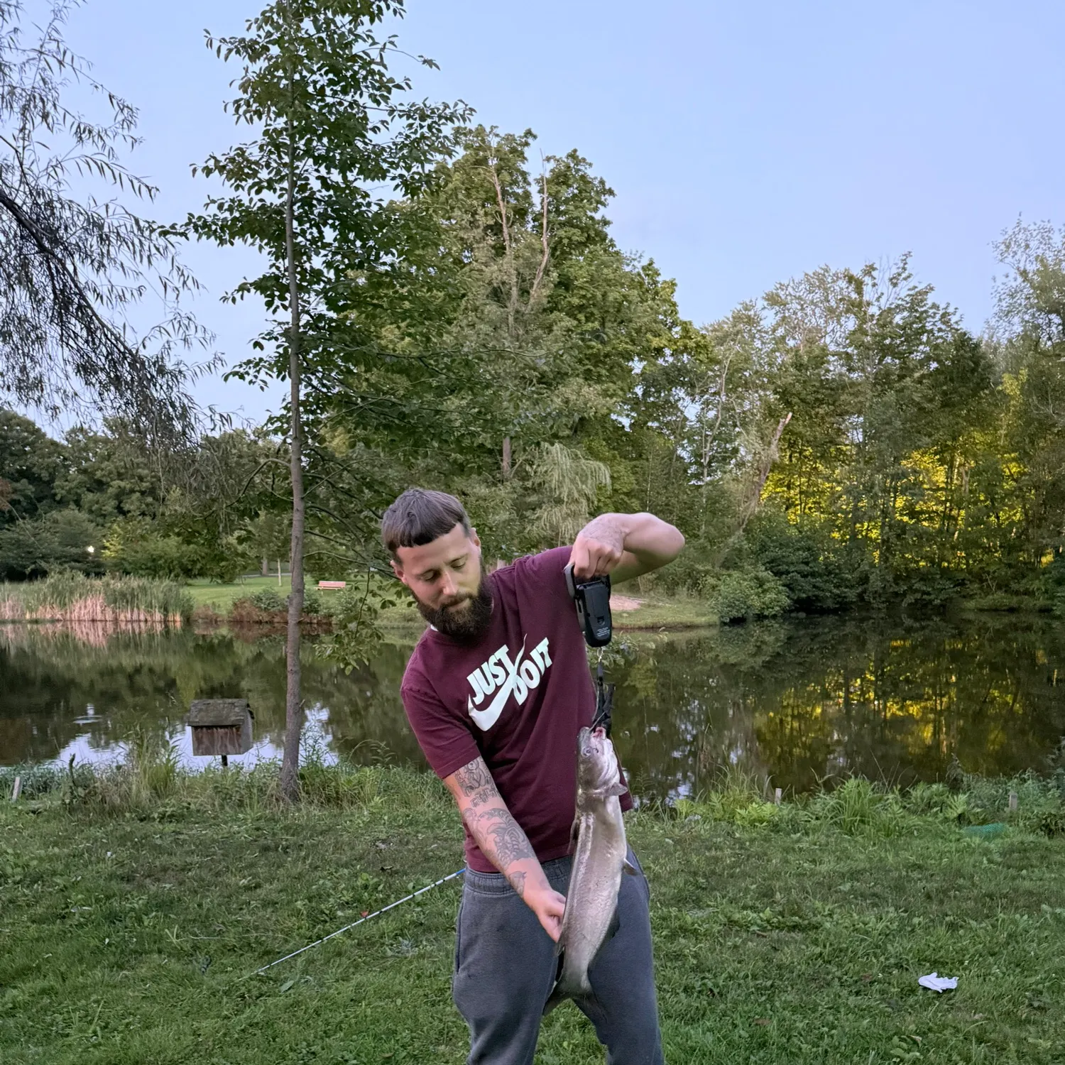 Channel catfish caught on Fishbrain