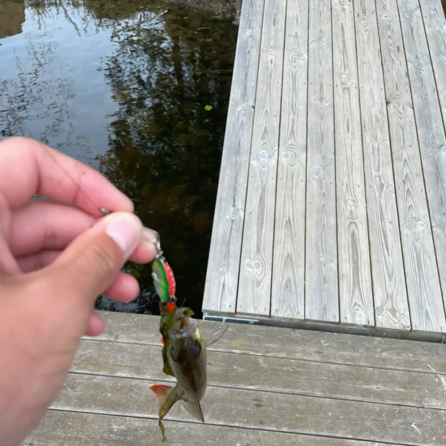 catch