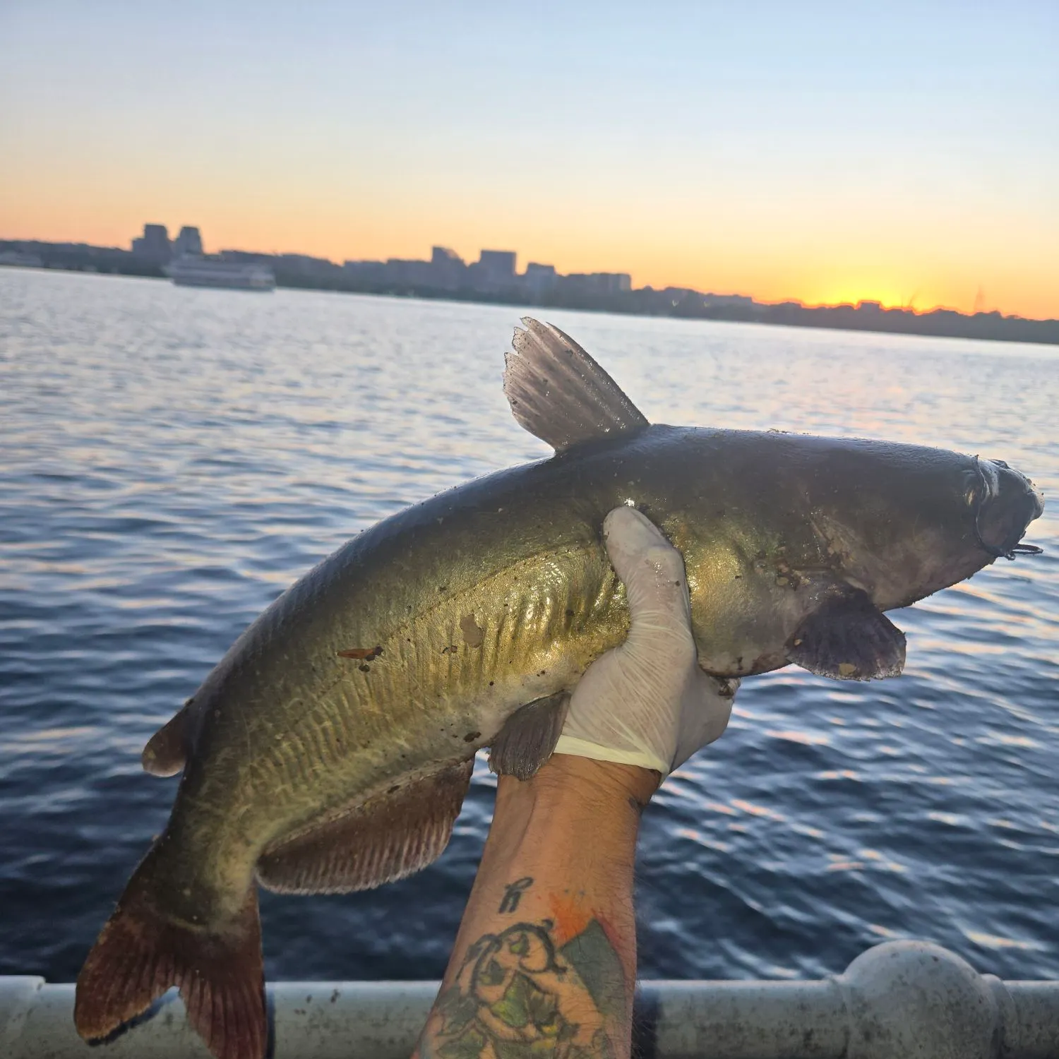 catch
