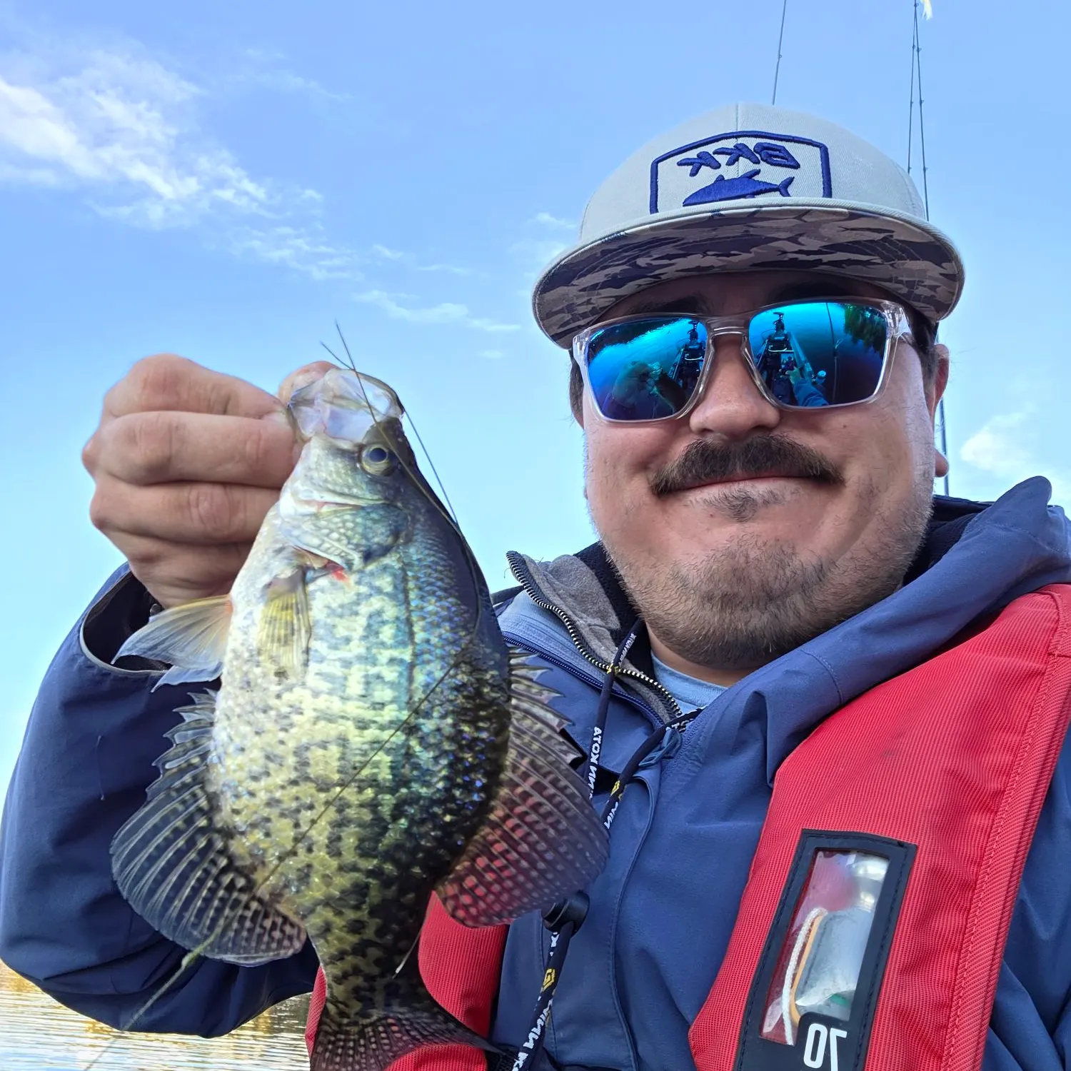 Black crappie caught on Fishbrain