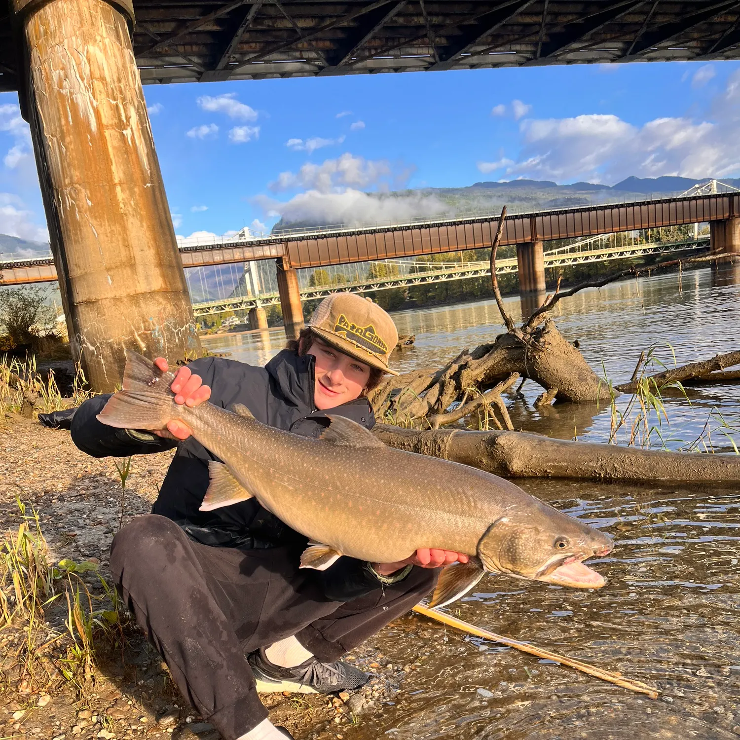 Bull trout caught on Fishbrain