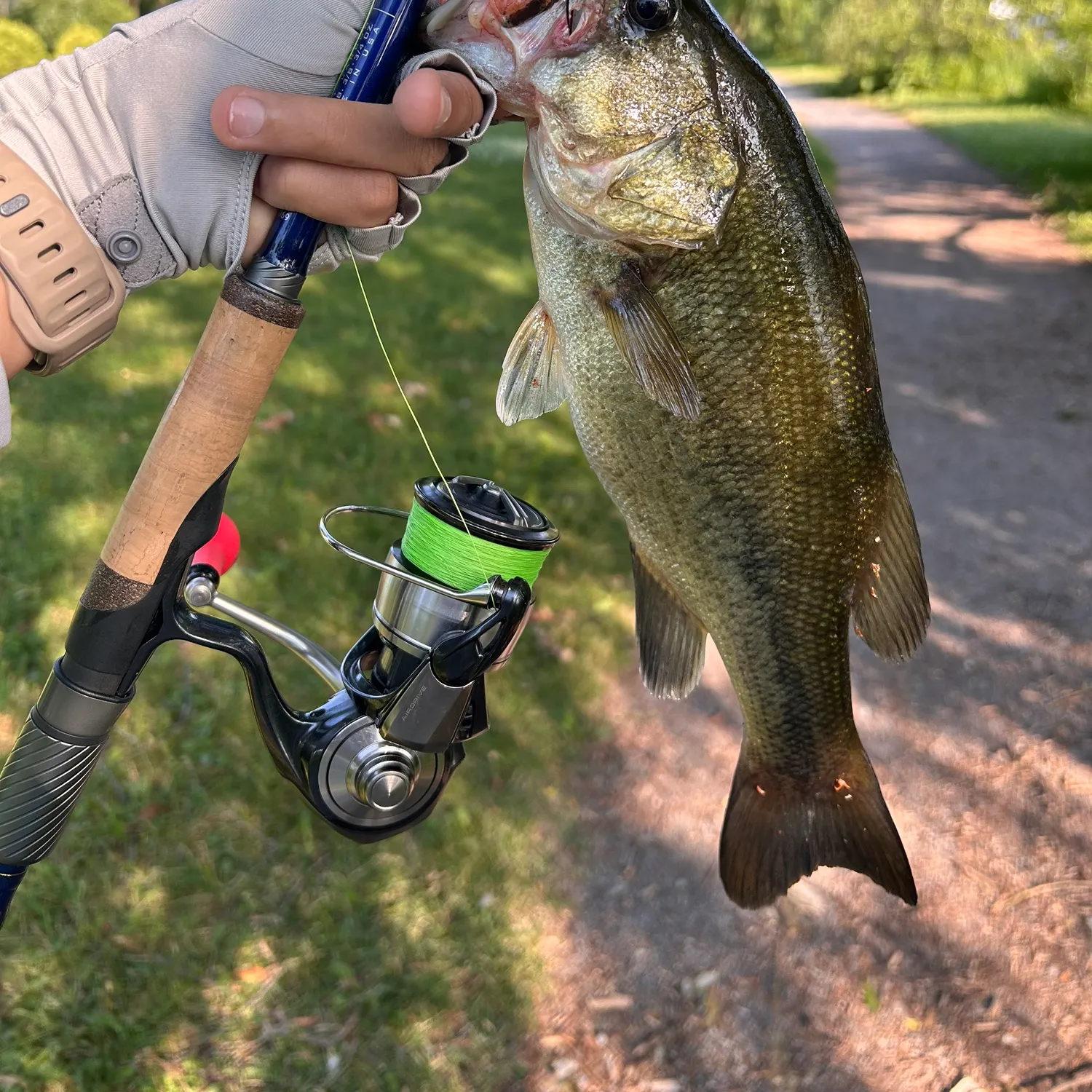 recently logged catches
