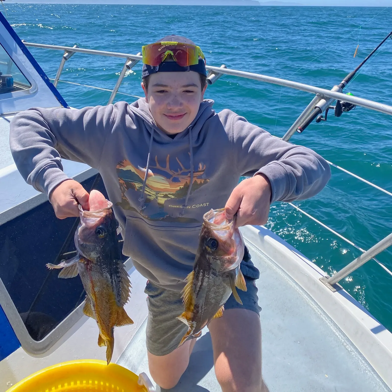 The most recent Yellowtail rockfish catches on Fishbrain