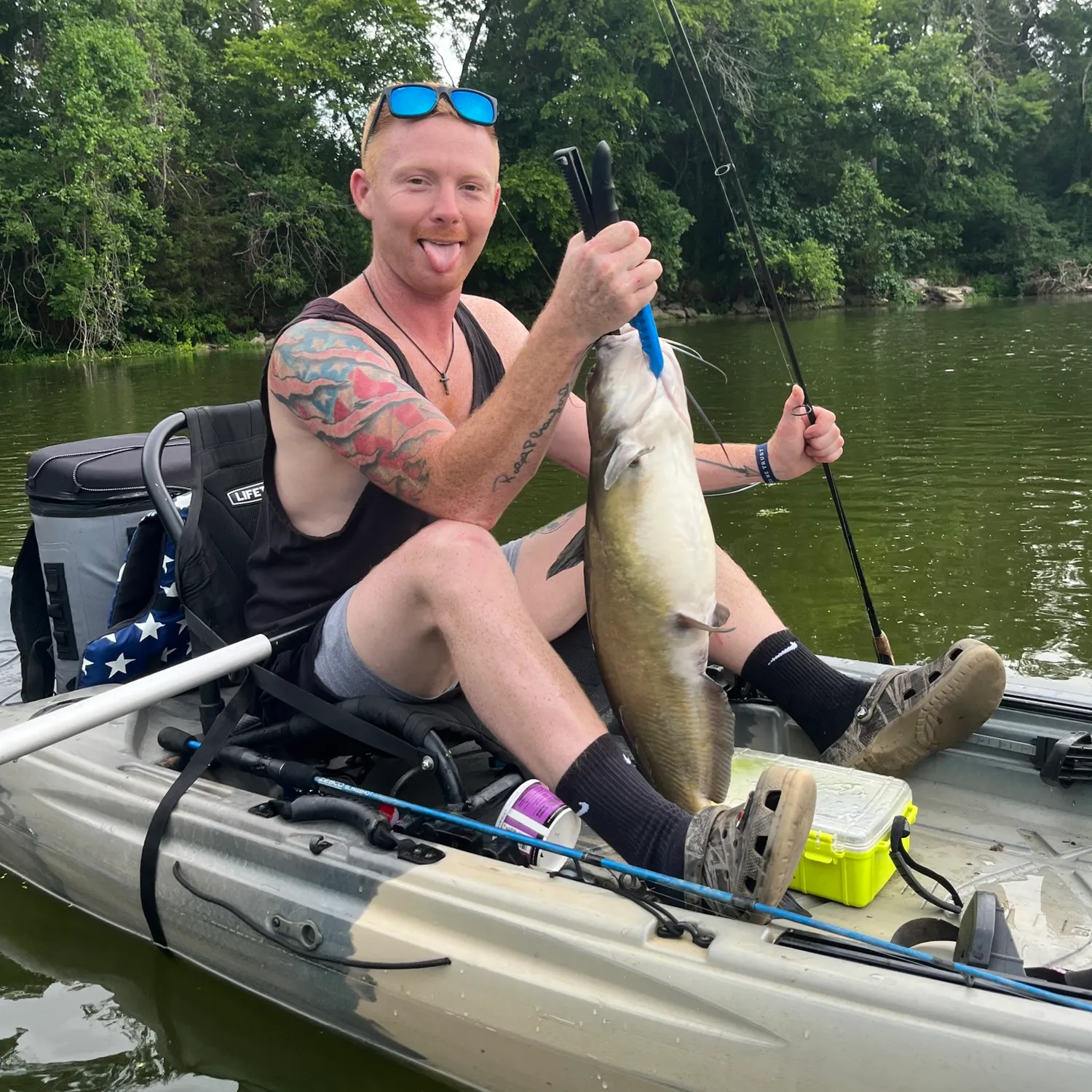 recently logged catches