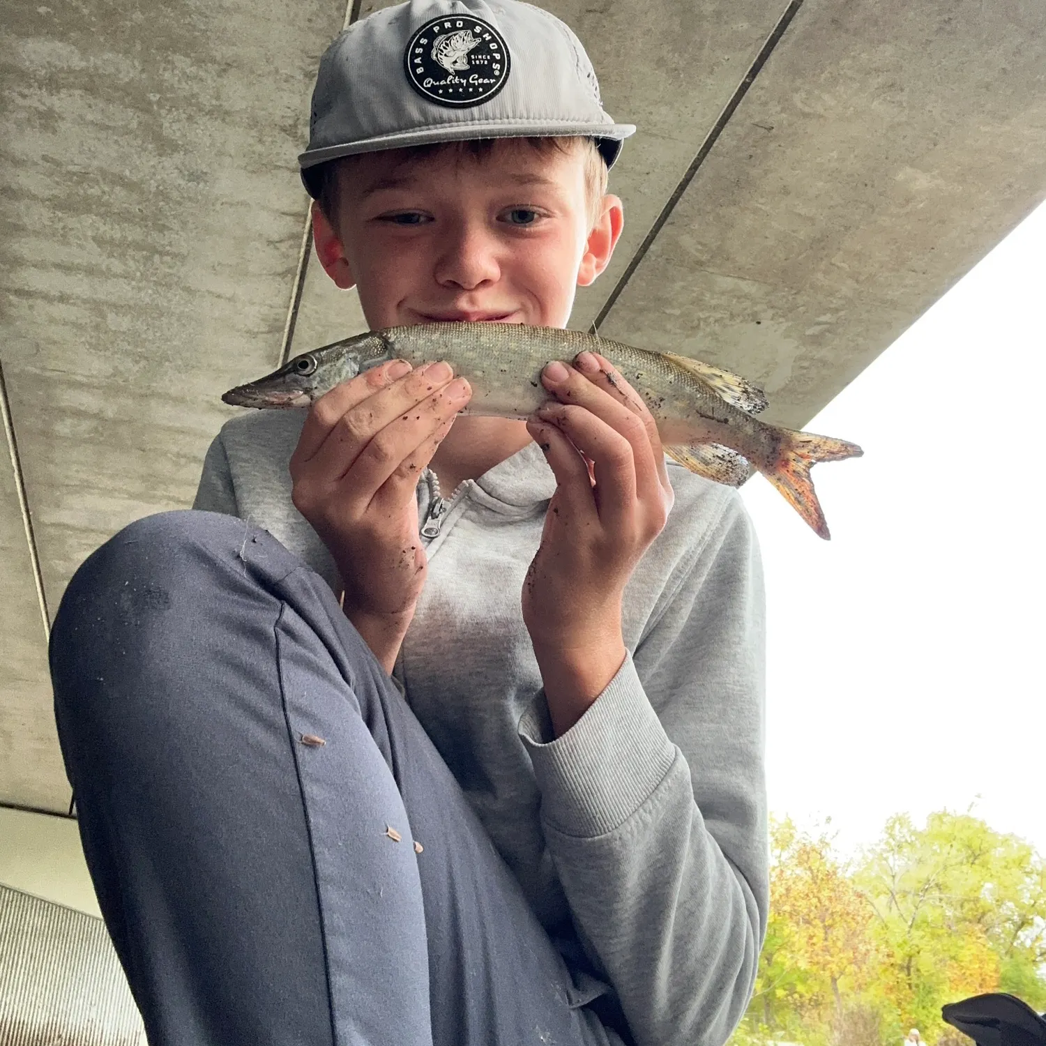 Northern pike caught on Fishbrain