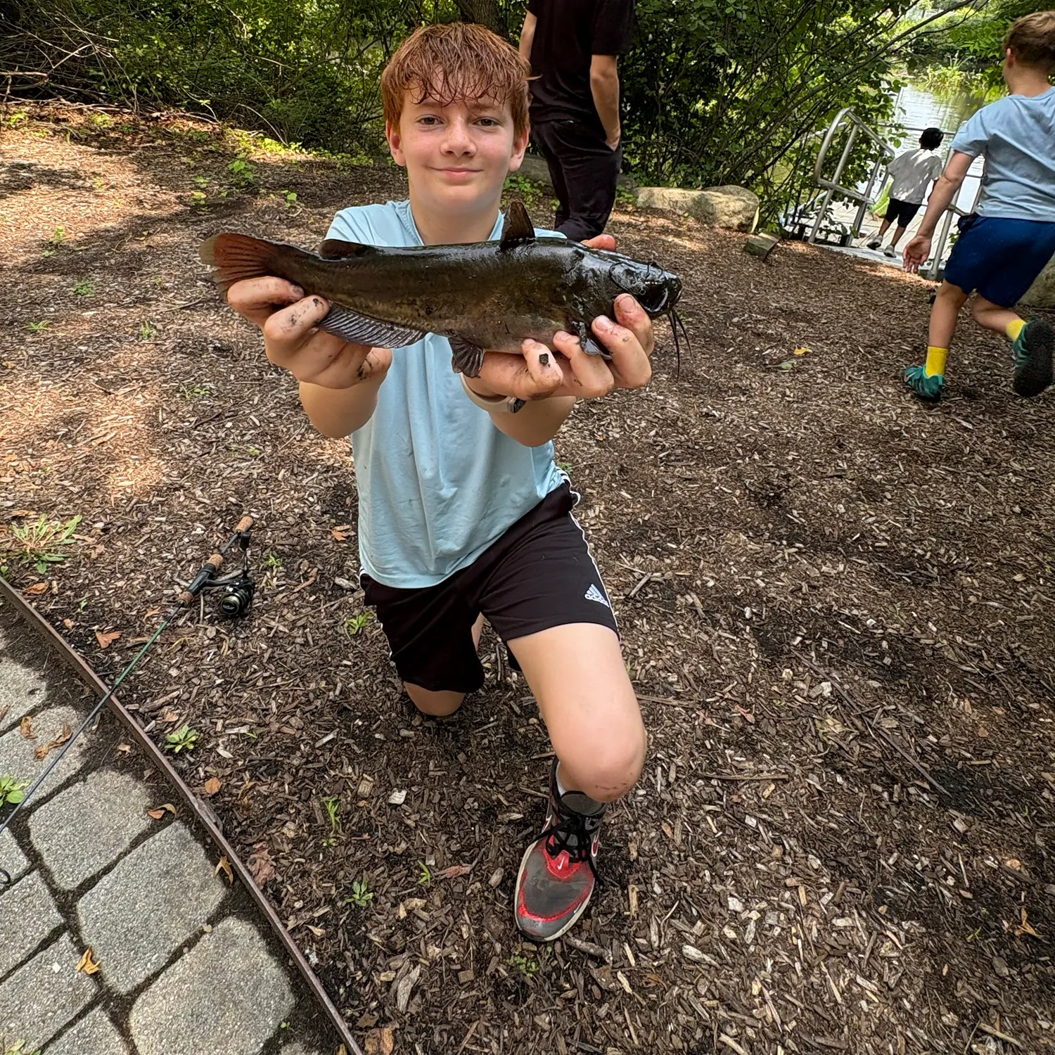 Black bullhead caught on Fishbrain