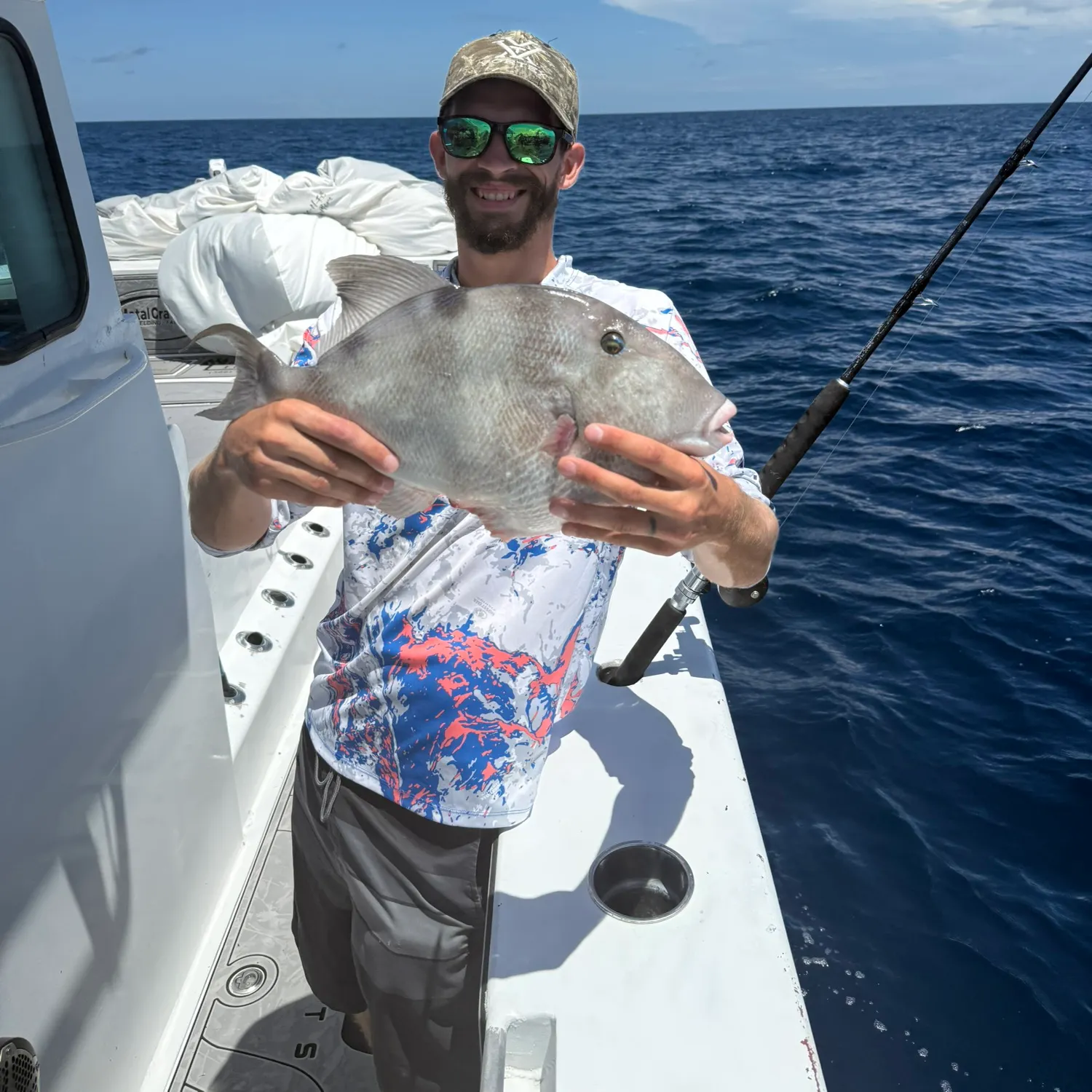 The most recent Grey triggerfish catches on Fishbrain