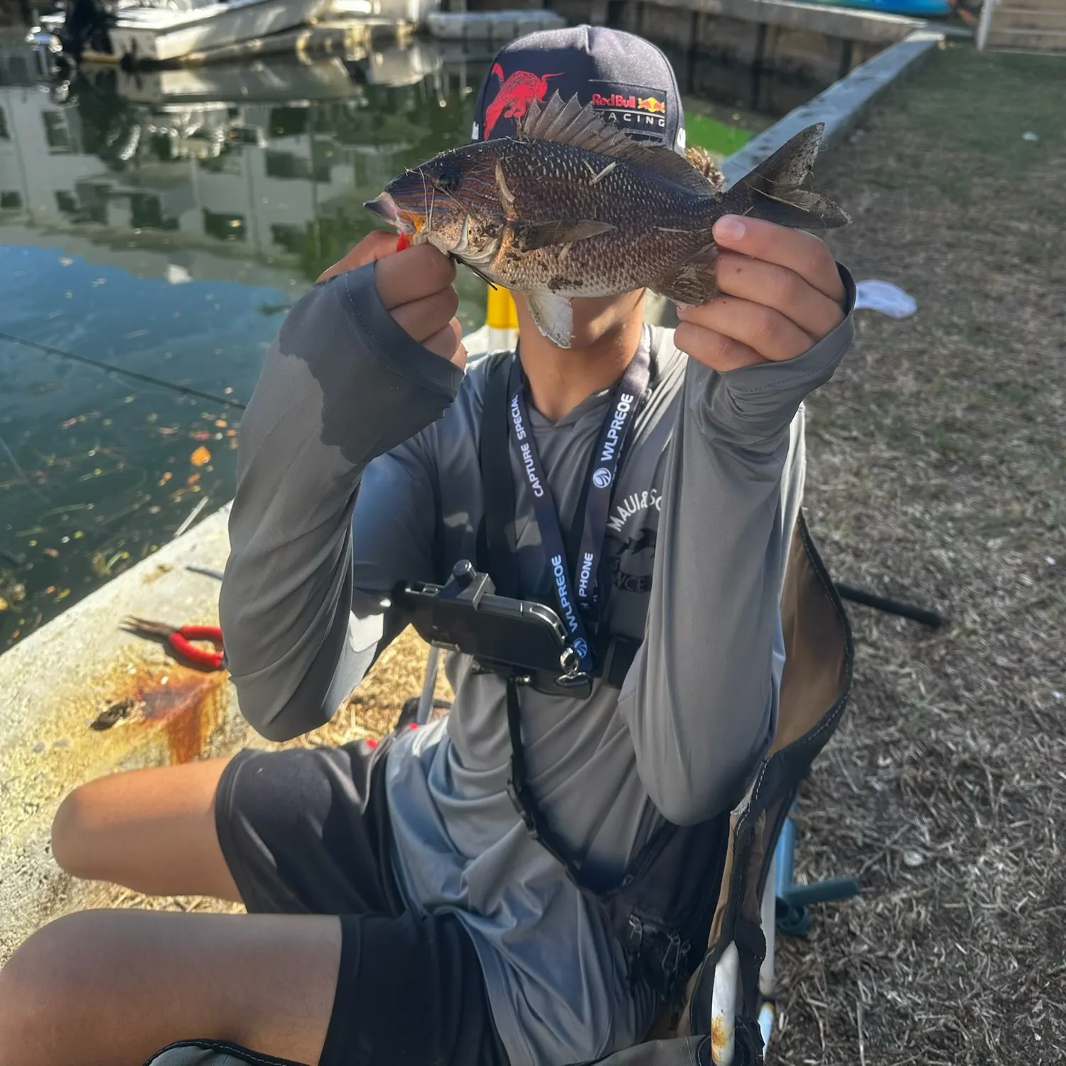 The most recent White grunt catches on Fishbrain