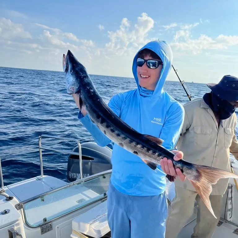 Great barracuda caught on Fishbrain