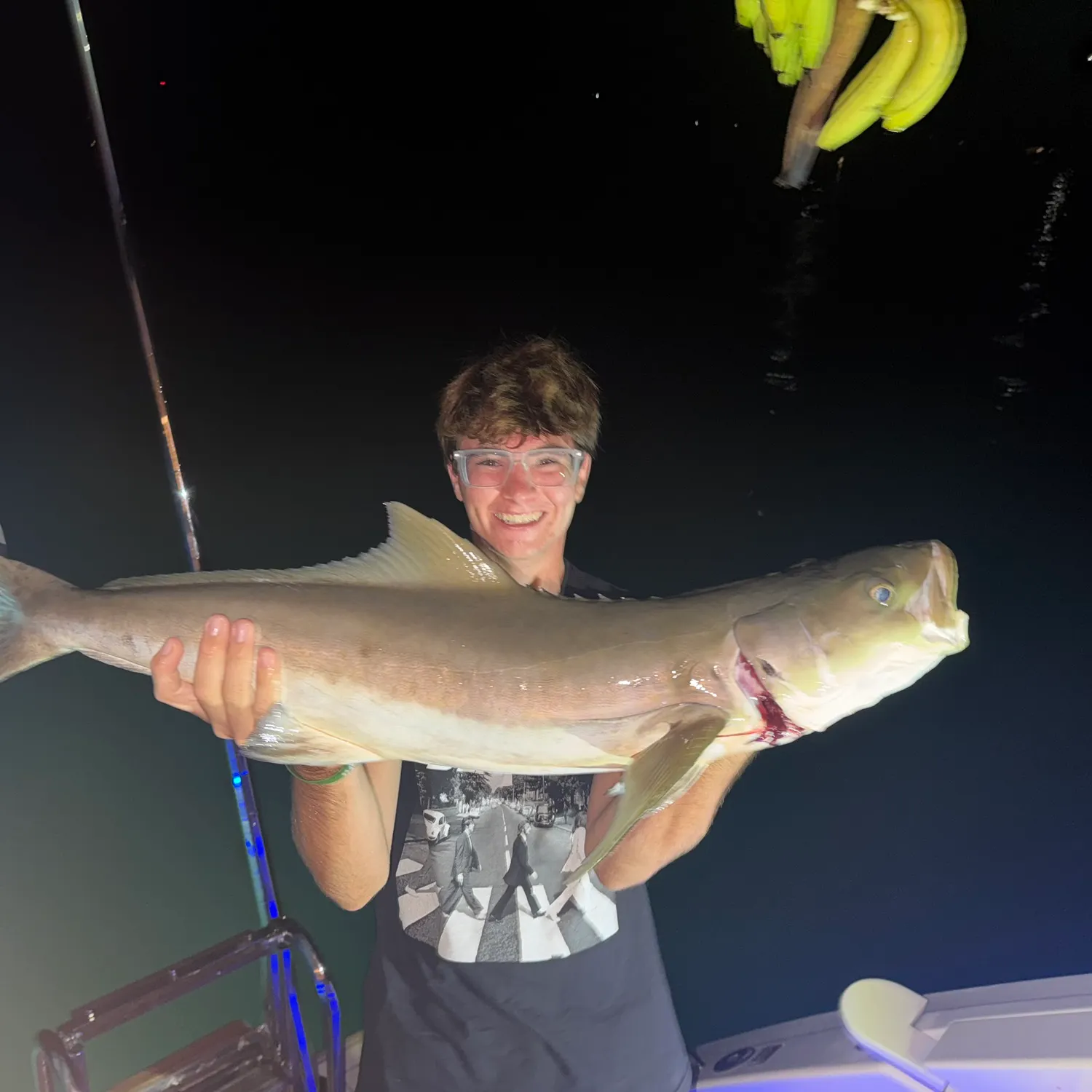 The most recent Cobia catches on Fishbrain