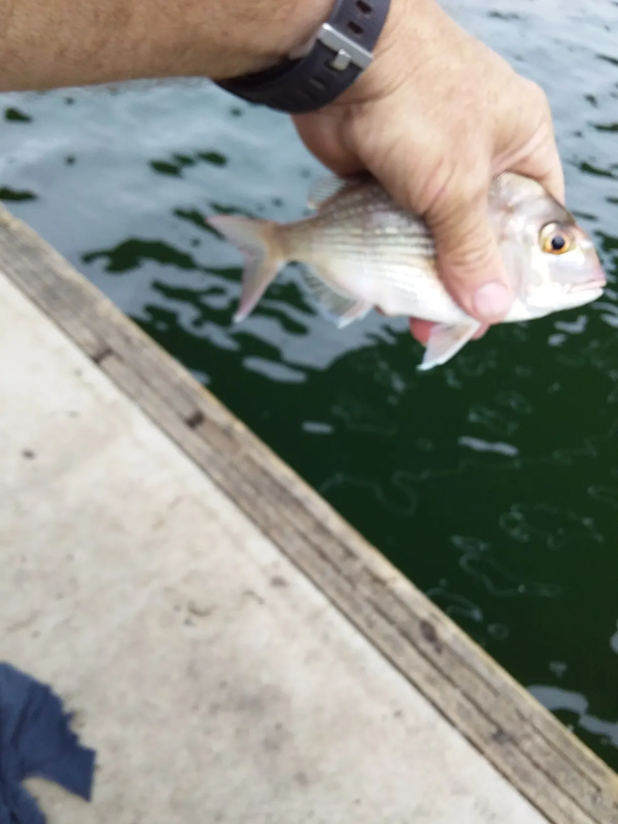 Post image from paulwright8045