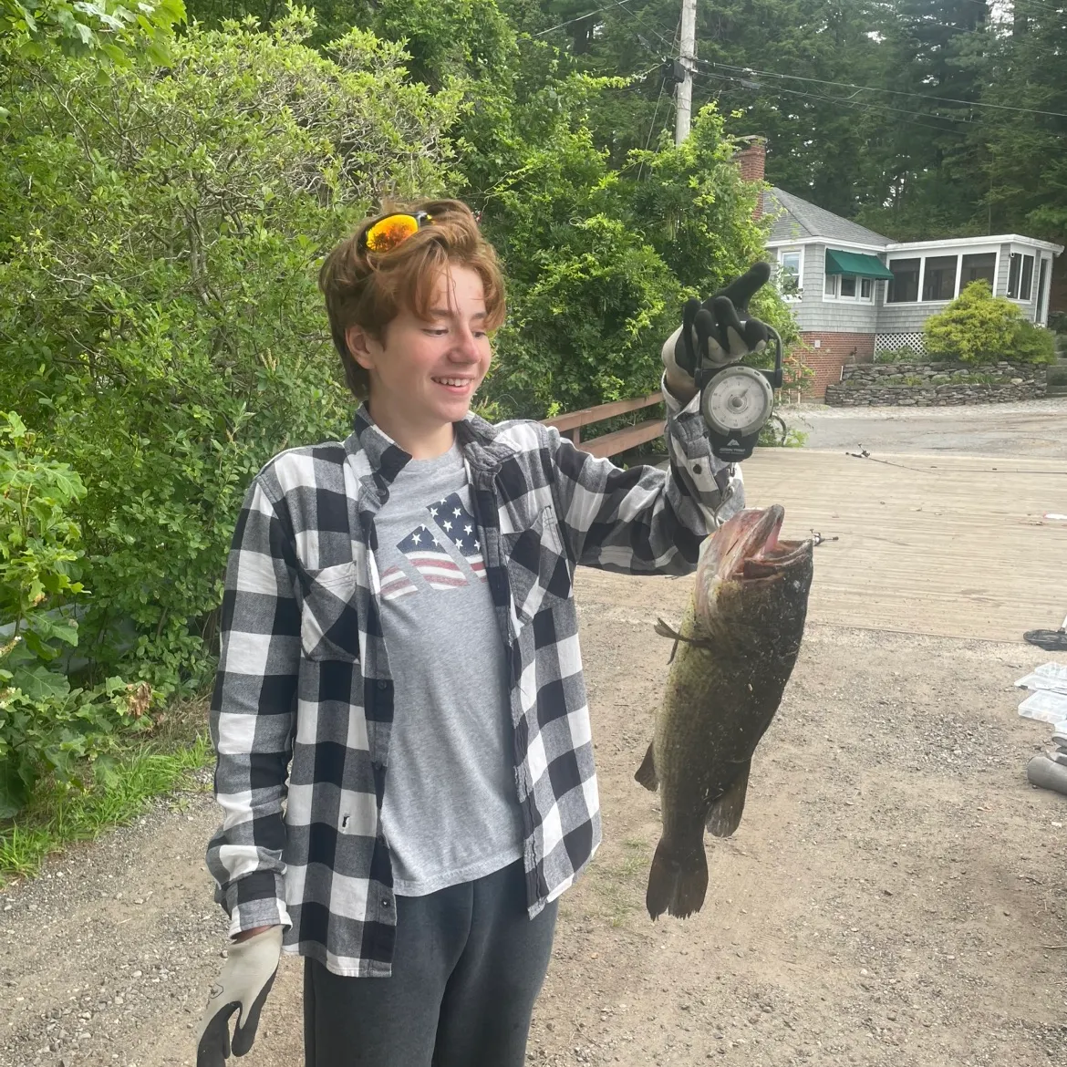Largemouth bass caught on Fishbrain