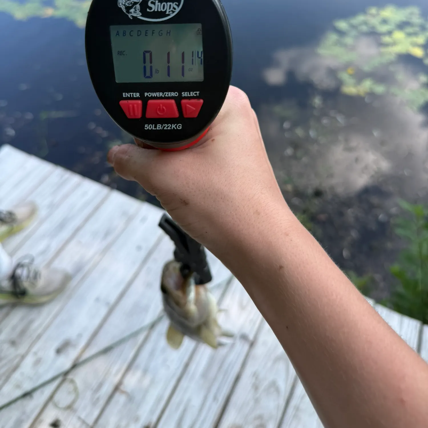 recently logged catches
