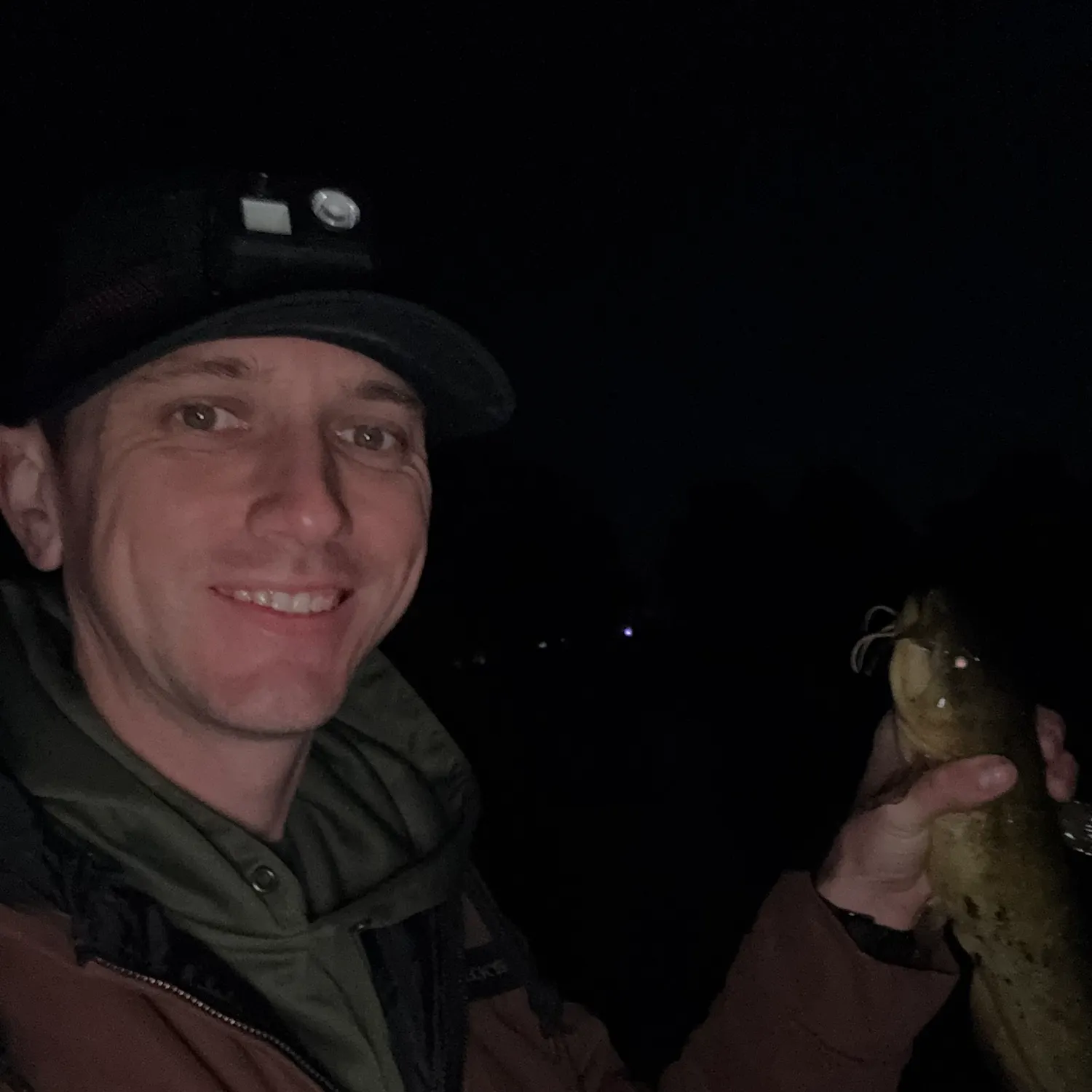 Yellow bullhead caught on Fishbrain