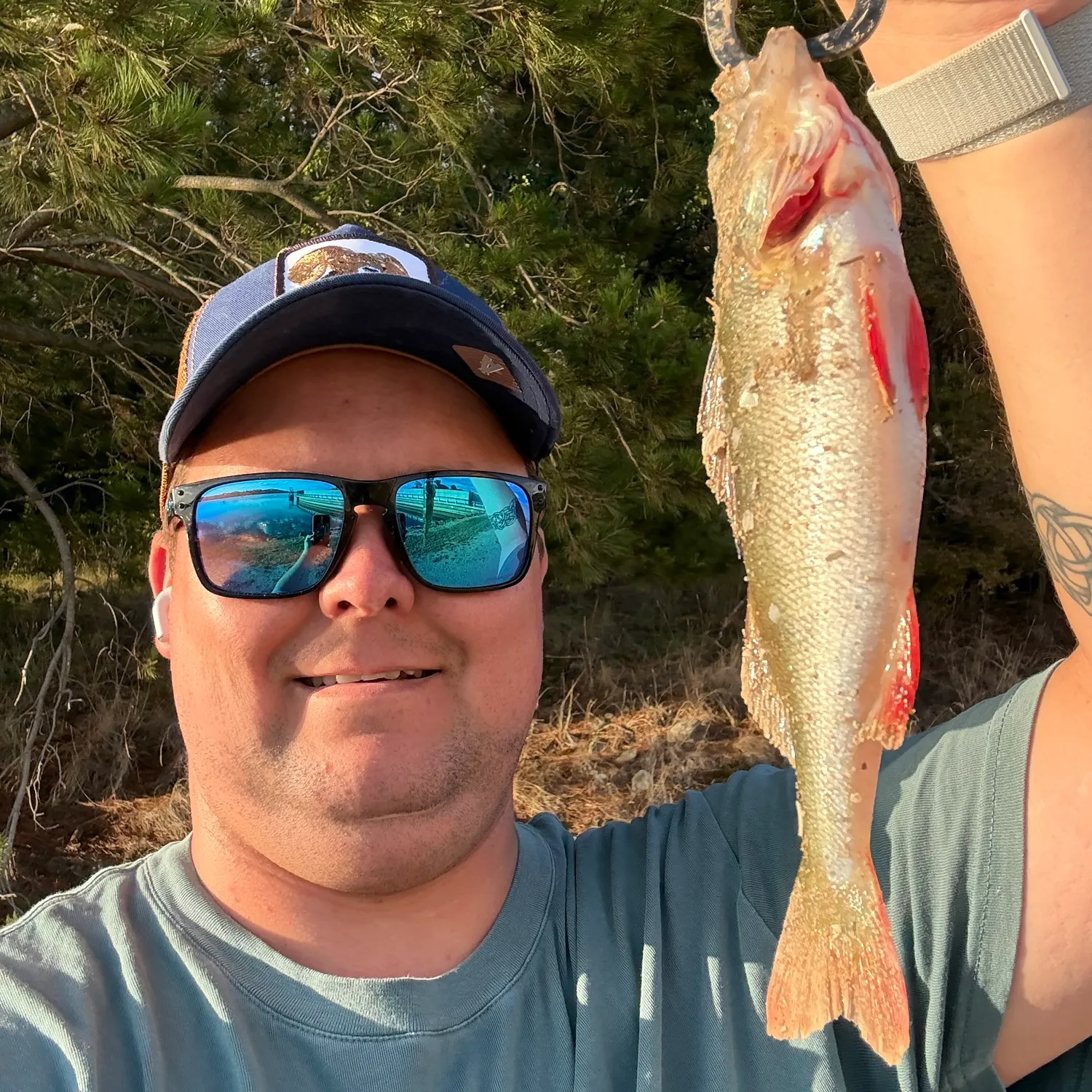 The most recent European perch catches on Fishbrain