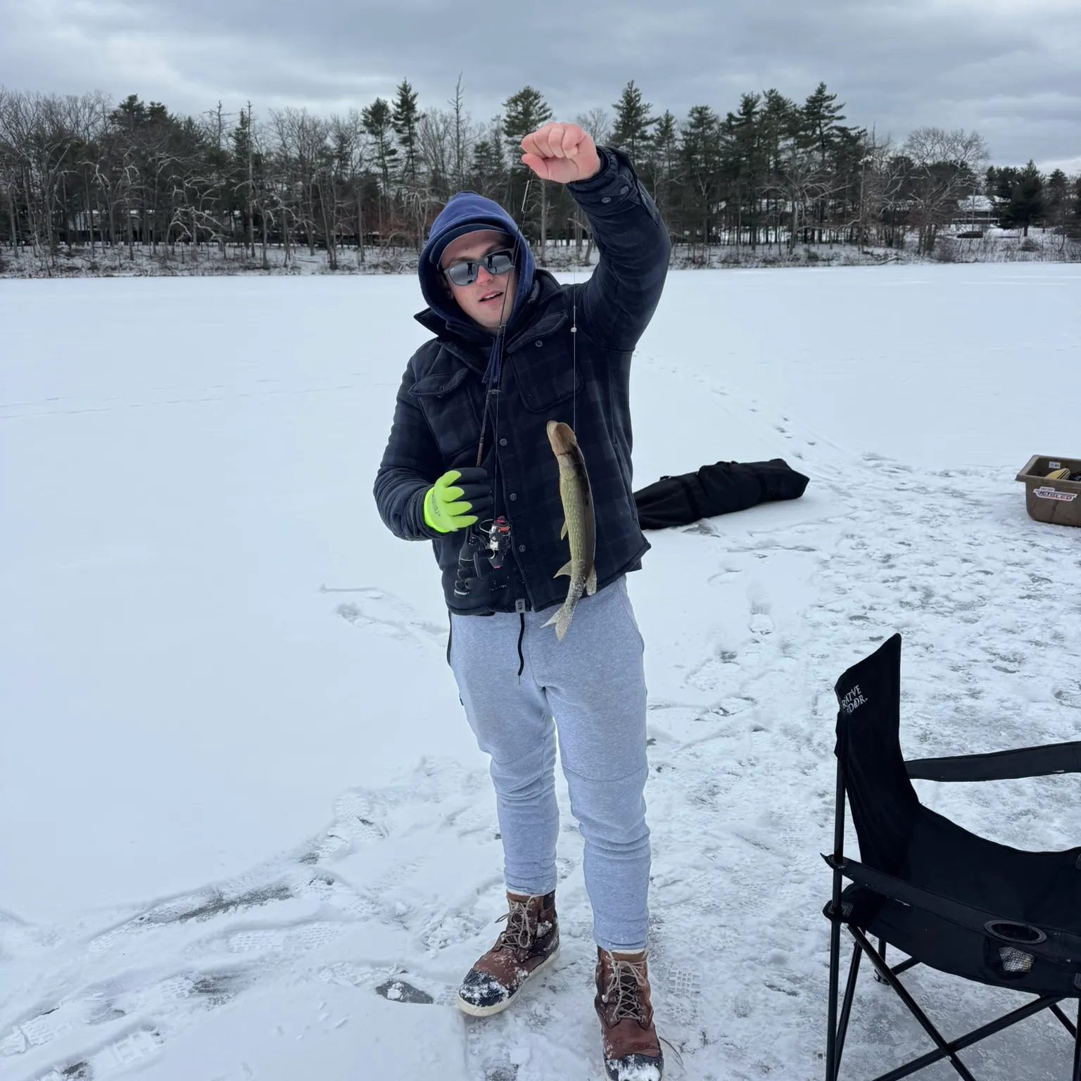 The most recent Chain pickerel catches on Fishbrain