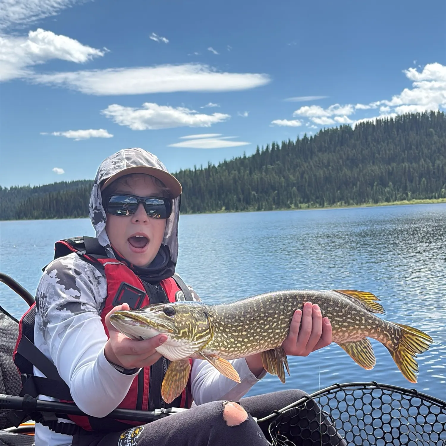 Northern pike caught on Fishbrain