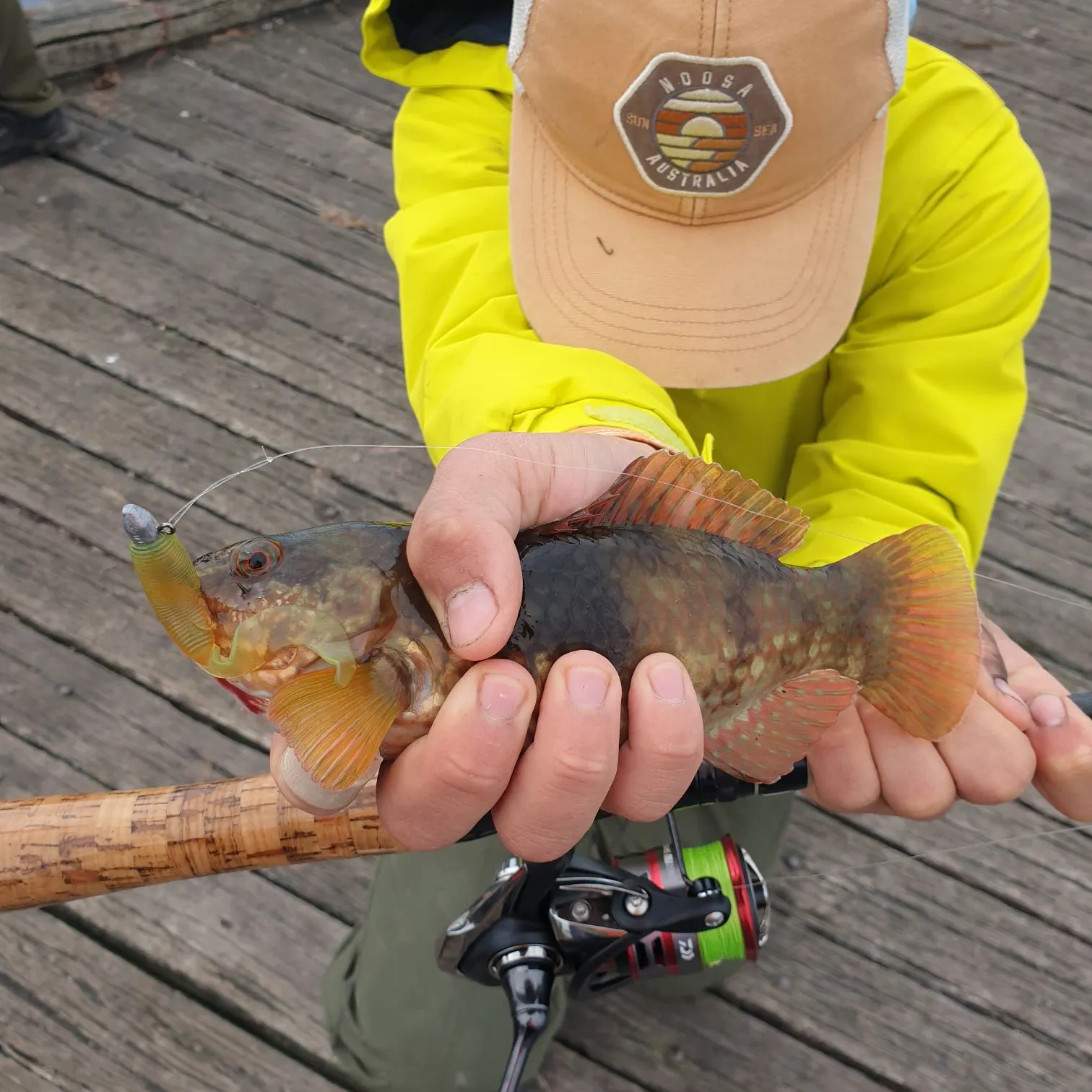 Fish caught on Fishbrain