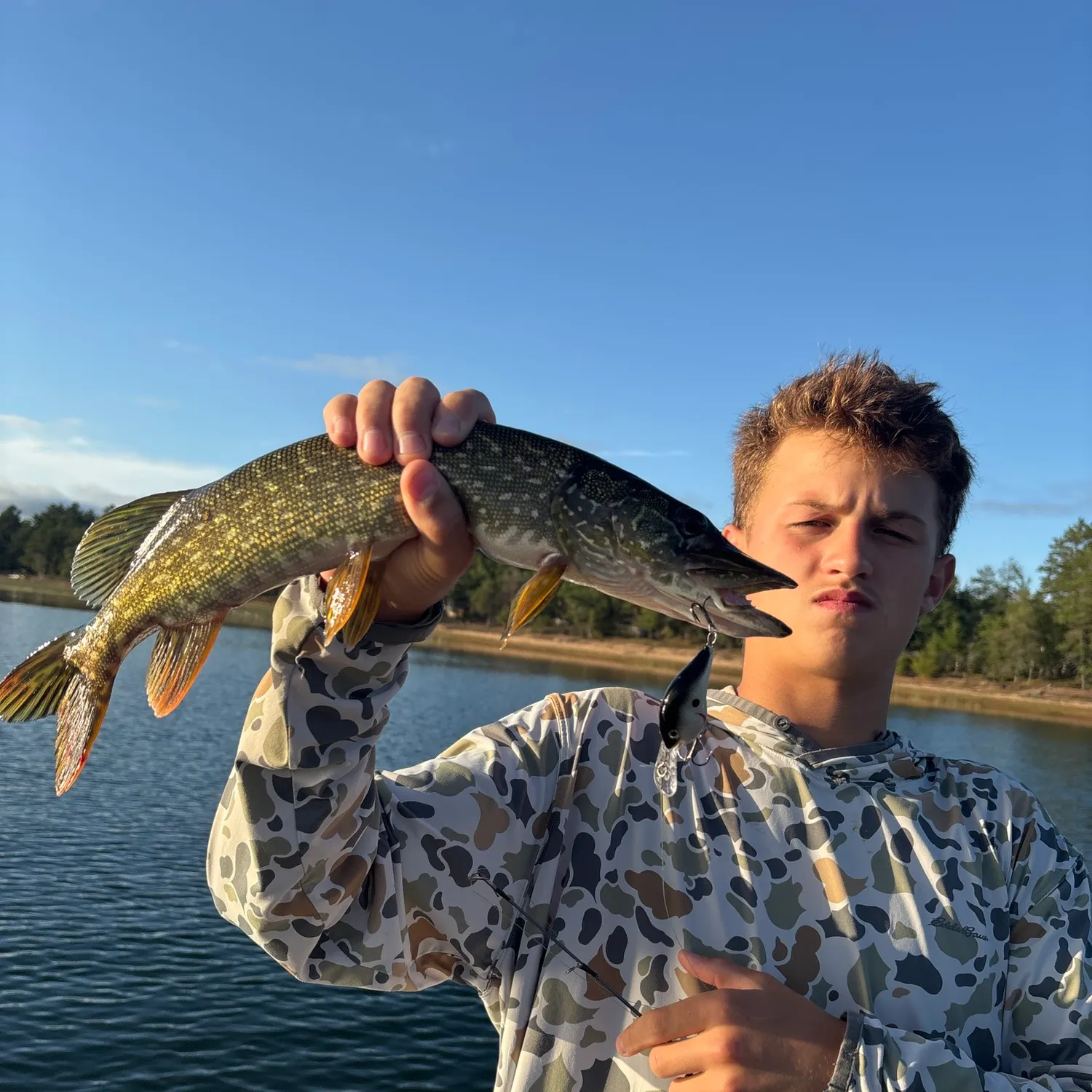 Northern pike caught on Fishbrain