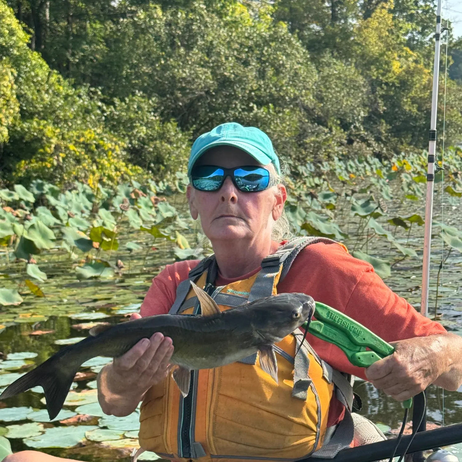Channel catfish caught on Fishbrain