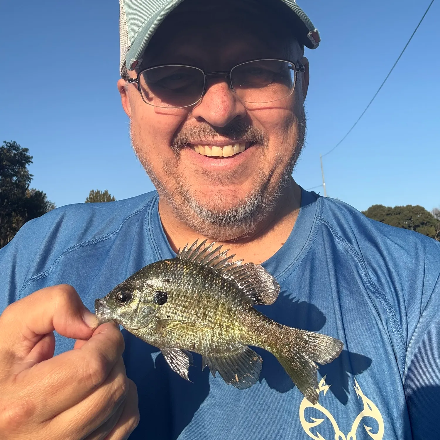 Bluegill caught on Fishbrain