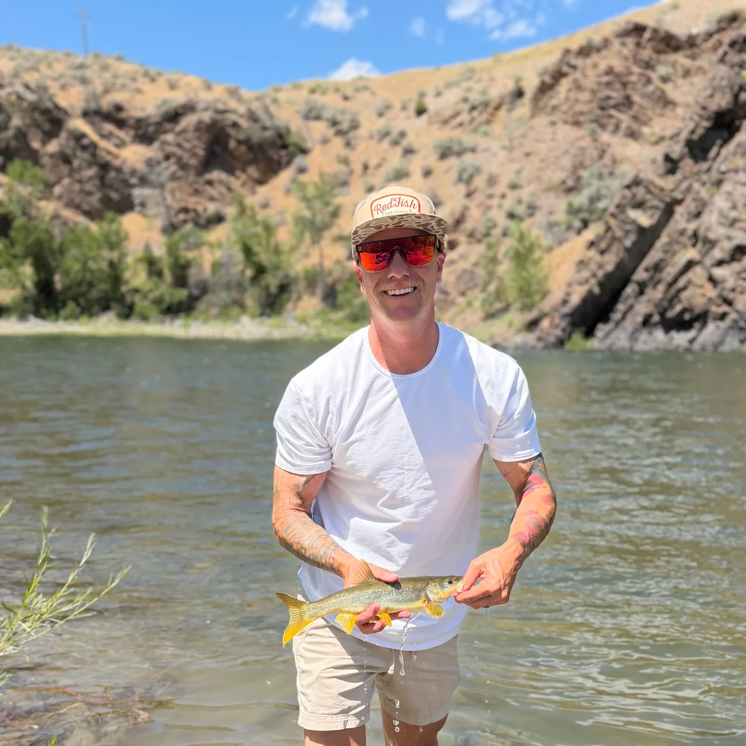 The most recent Northern pikeminnow catches on Fishbrain