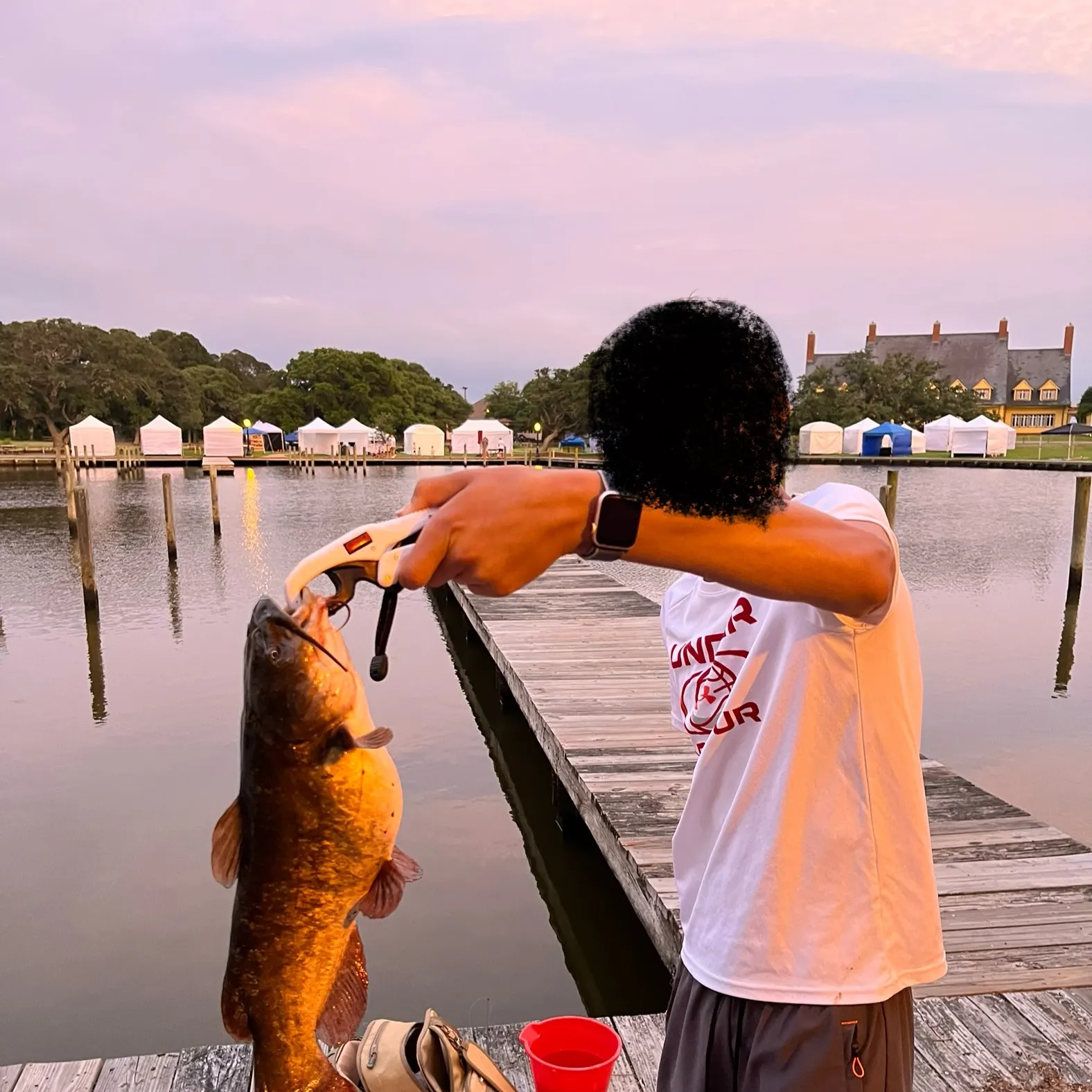recently logged catches