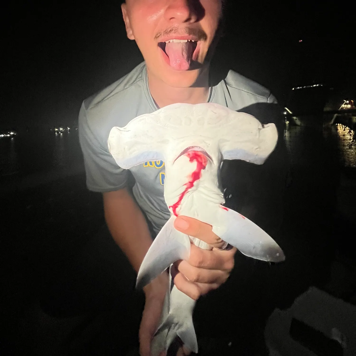 The most recent Scalloped hammerhead shark catches on Fishbrain