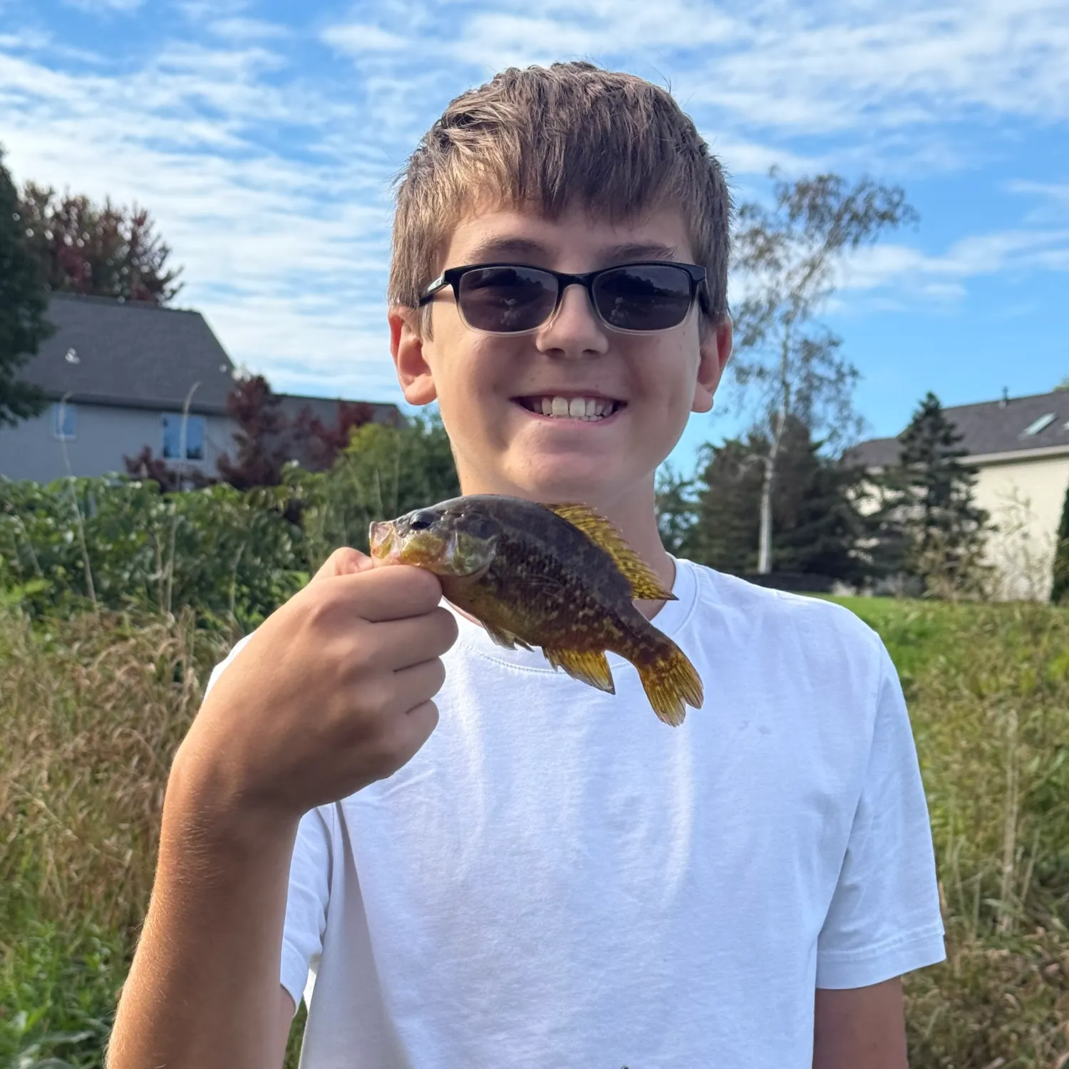 Warmouth caught on Fishbrain
