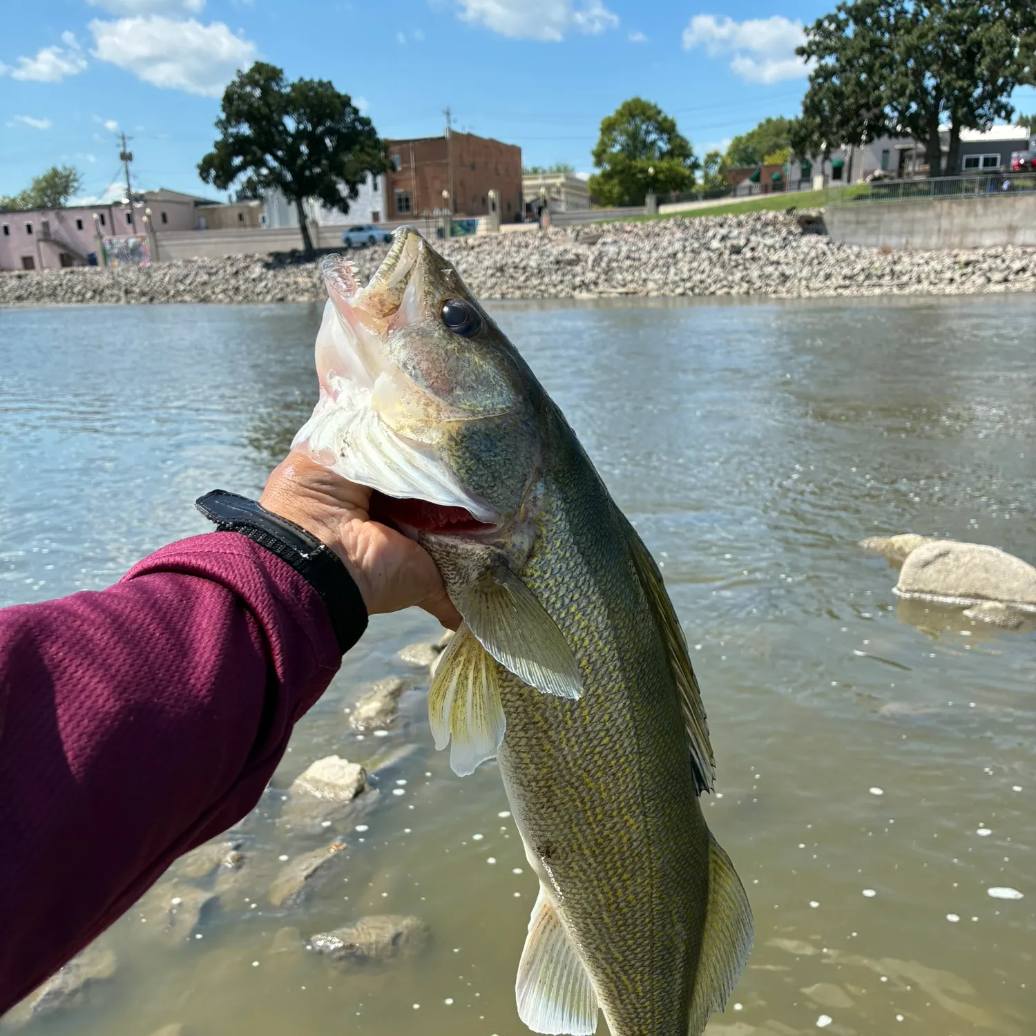 catch