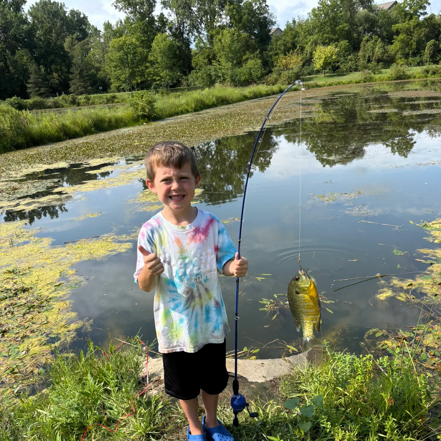 Bluegill caught on Fishbrain