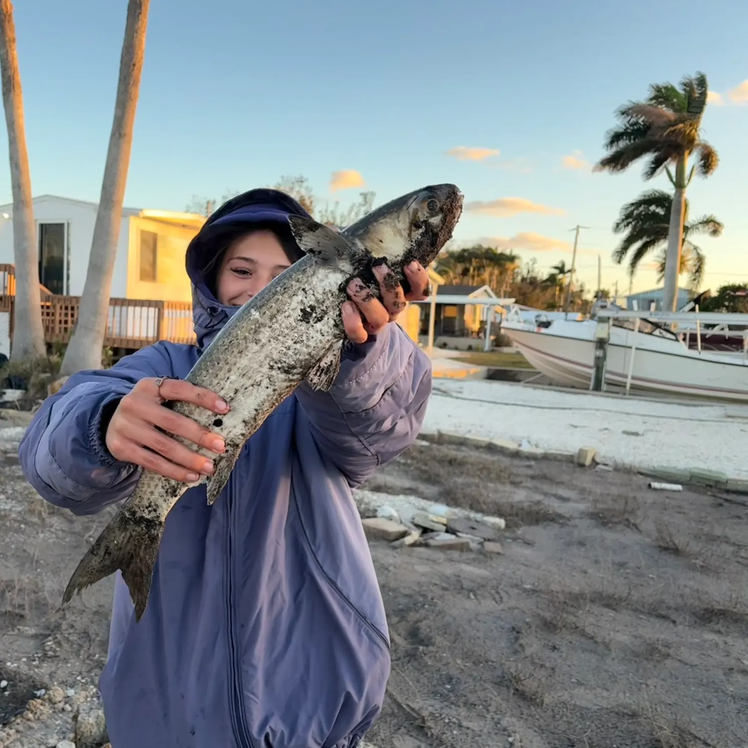 The most recent Striped mullet catches on Fishbrain