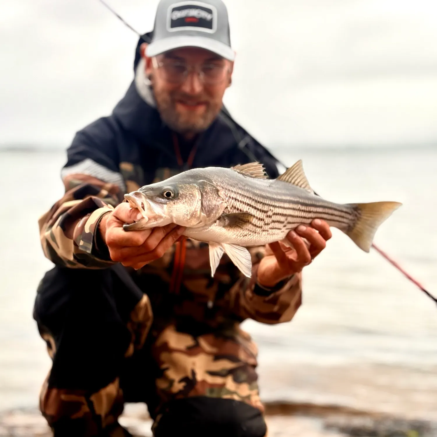 The most recent Striped bass catches on Fishbrain