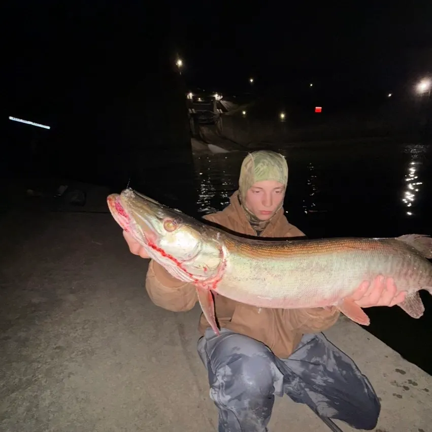 Muskie caught on Fishbrain