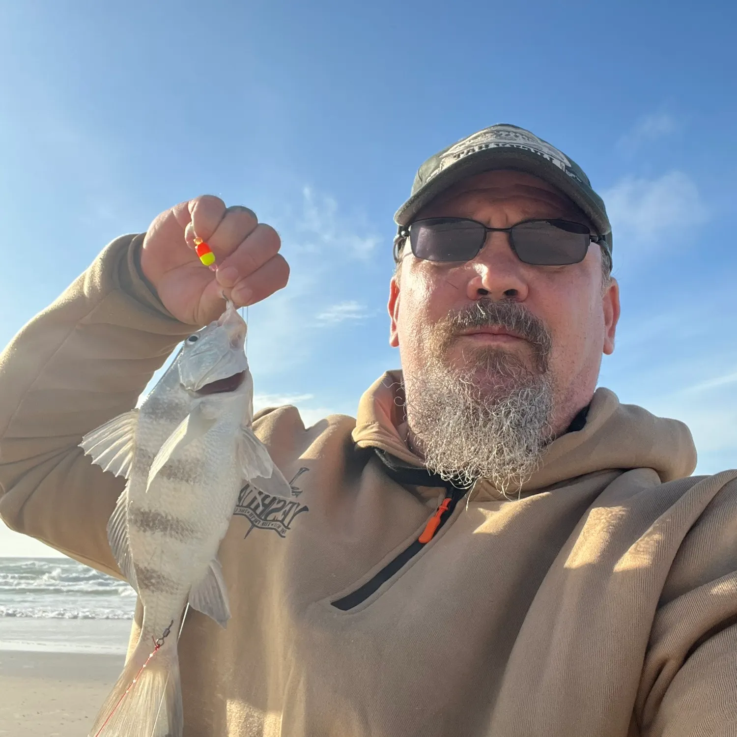 The most recent Black drum catches on Fishbrain