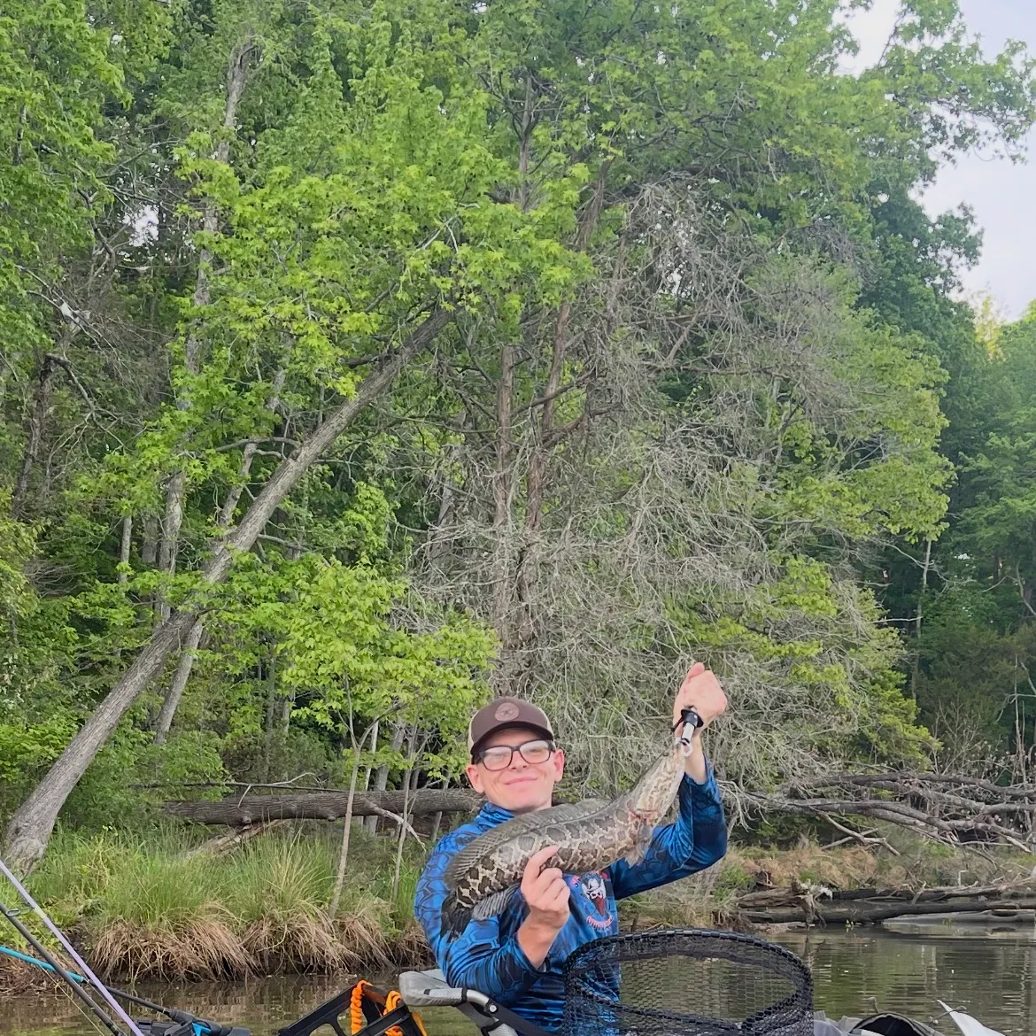 The most recent Northern snakehead catches on Fishbrain