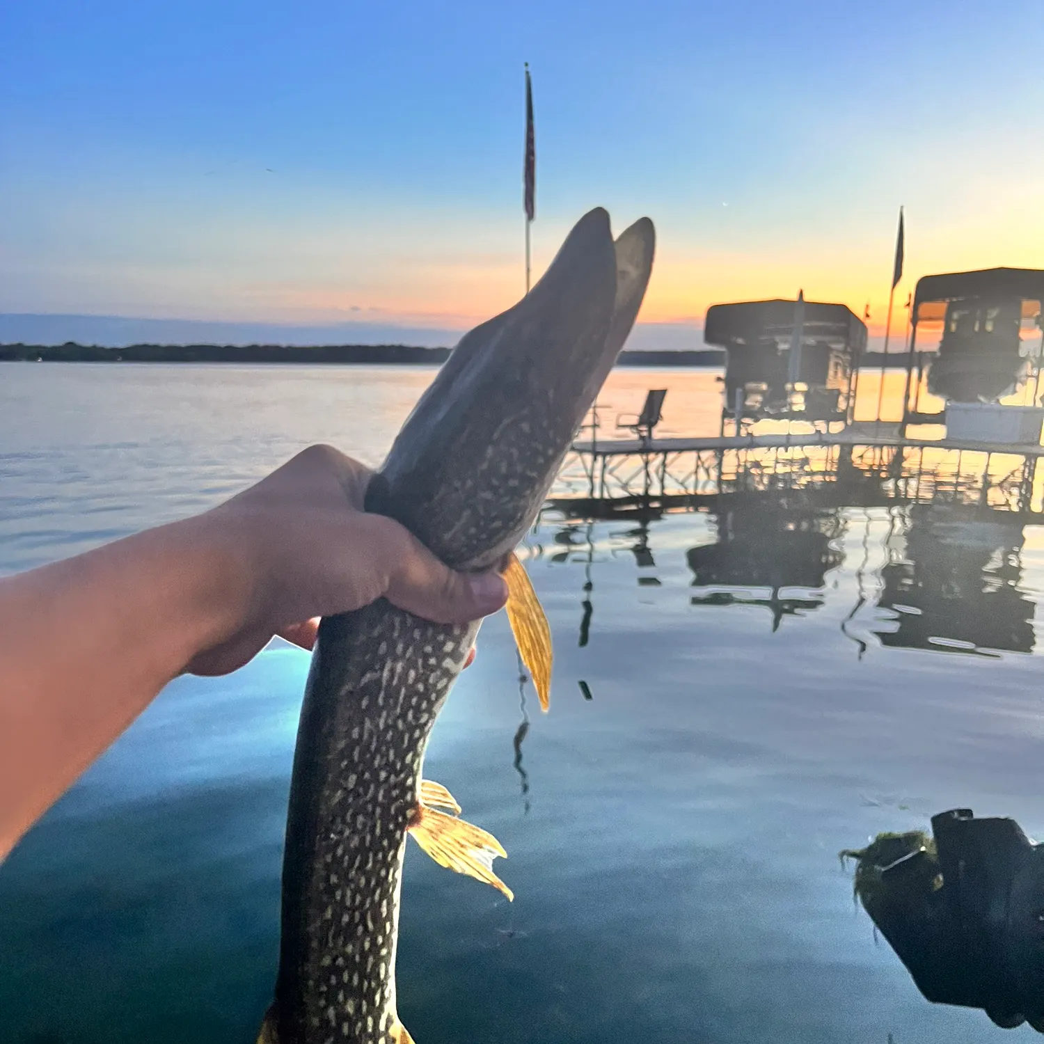 Northern pike caught on Fishbrain